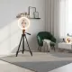 Ring light photo avec trépied noir et télécommande, éclairage circulaire chaud, dans un salon moderne avec fauteuil vert