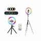 Lampe anneau RGB VeFly avec télécommande pour smartphone, différents modes de lumière, trépied ajustable
